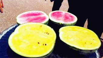 吃瓜社区爆料,娱乐圈惊天大事件揭秘